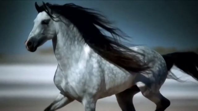 Мантра от людской зависти и неприятия. Растворит и разнесёт всё зло по ветру! смотреть онлайн