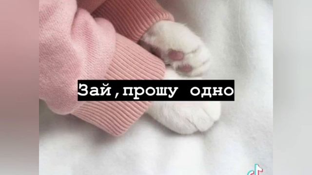 лучший человек на земле смотреть онлайн