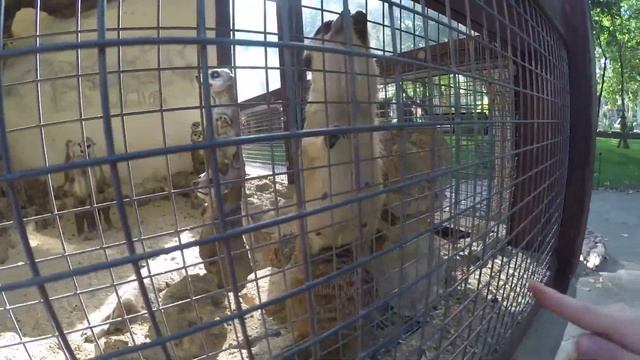 Едем на море (часть 1) смотреть онлайн