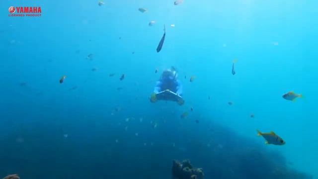 Подводный буксировщик Yamaha SeaWing Seascooter смотреть онлайн