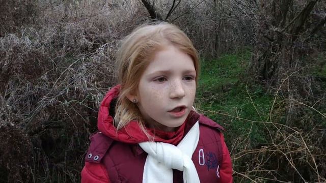 Стих "Листопад" - Иван Бунин. Мусор на природе. смотреть онлайн