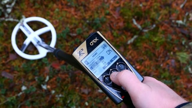 Металлоискатель XP ORX - обзор и тест глубины смотреть онлайн