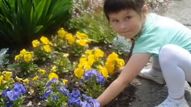 Копия видео 