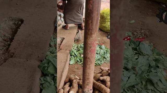 СКОЛЬКО В ИНДИИ КУПИЛИ ОВОЩЕЙ ЗА 5$ #индия #india