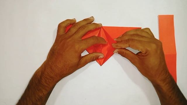 Origami New Bird Ideas ? - How To Make Origami Bird Ideas 2023 смотреть онлайн