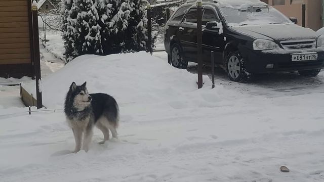 Поработали на даче. Обед на свежем воздухе.