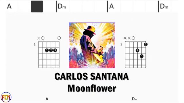 CARLOS SANTANA Moonflower Instrumental - Guitar Chords HD смотреть онлайн