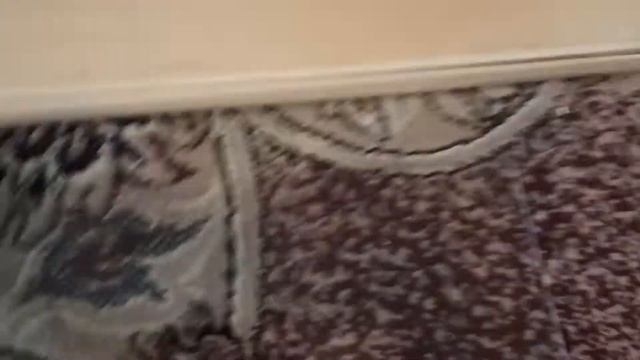 Стеллаж для морской свинки своими руками Как сделать клетку для морской свинки Клетка своими рука смотреть онлайн