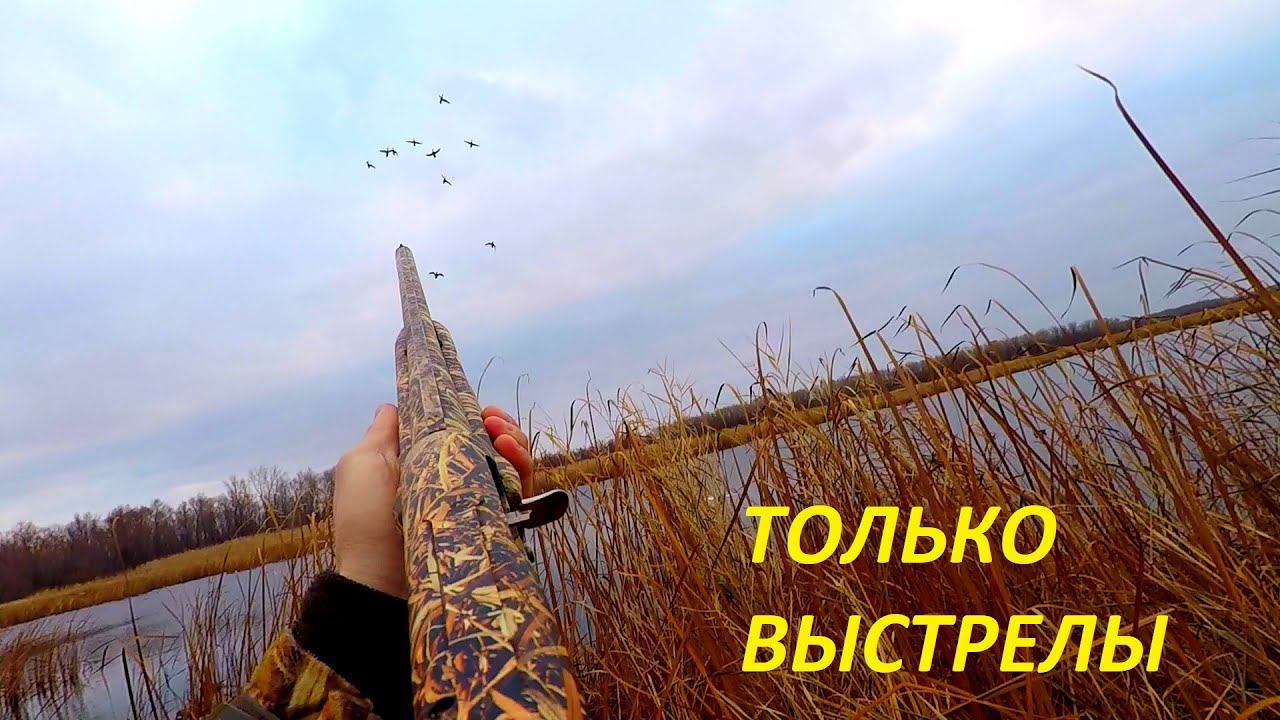 ЛУЧШИЕ МОМЕНТЫ С ОХОТЫ НА УТКУ СЕЗОНА!!! ТОЛЬКО ВЫСТРЕЛЫ / MAX HUNTER смотреть онлайн