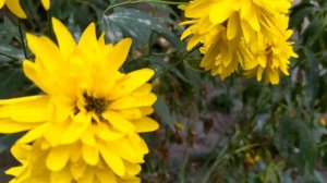 Бойся, я с тобой 1 - 4 серии | Мелодрама 2022