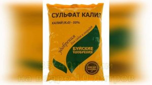 Ежевика, летняя подкормка