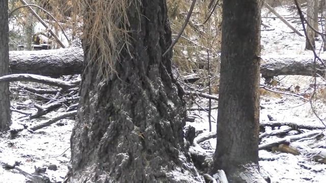 Скала Маргаритка prproj смотреть онлайн