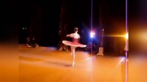 Николай Цискаридзе "Корсар" Парижская национальная опера. Взгляд из-за кулис , январь 2008 г.