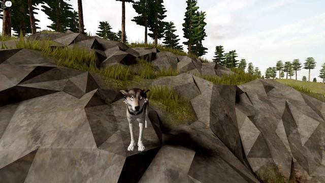 NEW WOLF EMOTES AND CALLS! Sonora Testing Roblox смотреть онлайн