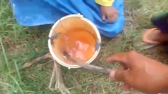 santri || belajar menanam sayur смотреть онлайн