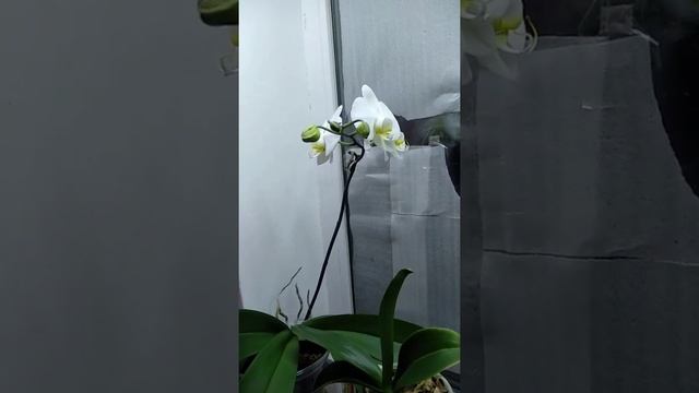 Моё хобби. смотреть онлайн