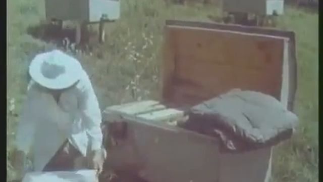 Пчеловодство от и до . Учебное пособие ссср смотреть онлайн