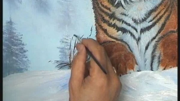 Siberian tiger lesson 5 wildlife pictures painting