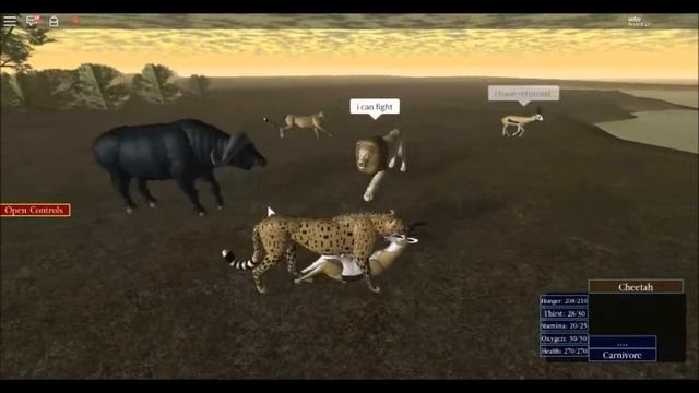 Wild Savanna | Roblox смотреть онлайн