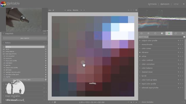 Darktable : Ücretsiz Ders - 11 - Demosaic Modülü Nasıl Kullanılır? (Evde Kal, Fotoğraf Çek) смотреть онлайн