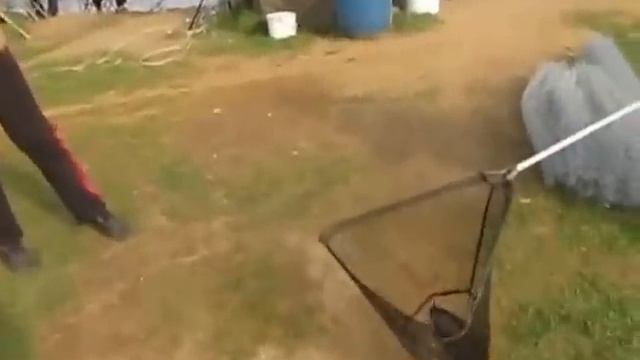 Платная рыбалка в Пирогово- Коргашино смотреть онлайн