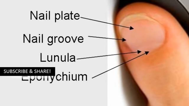 Do You Know What Does It Mean The Half Moon Shape At The Base Of Your Nails? смотреть онлайн