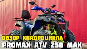 Квадроцикл PROMAX ATV 250 MAX - Свобода передвижения на природе