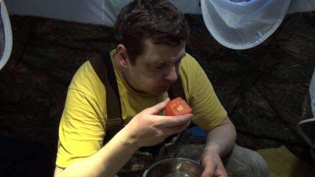 Ночь в палатке Берег УП-2 мини. Одиночный поход. Таёжная кухня. 24 часа в лесу. Печь Экономка Мини смотреть онлайн