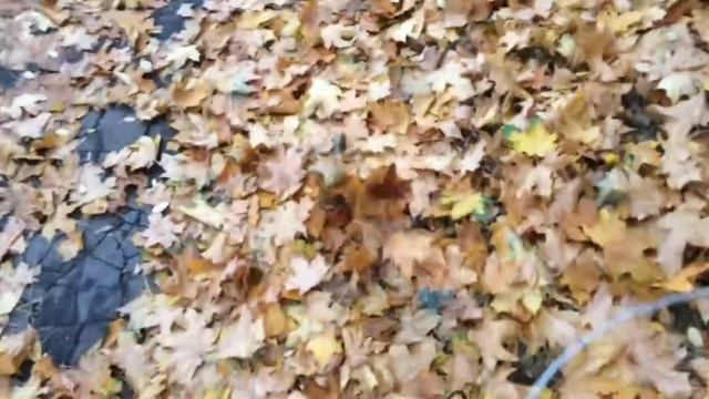 За что люблю осень??? смотреть онлайн