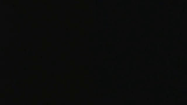 L42038 DIADEM PURPLE CHRYSANTHEMUM смотреть онлайн