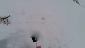 С такой Плотвой и ЩУК НЕ НАДО! Рыбалка в феврале. Подводная съемка