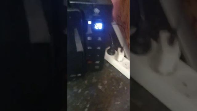 как быстро и легко сделать бургер-сэндвич в домашних условиях смотреть онлайн