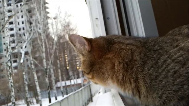 Когда наступает зима смотреть онлайн