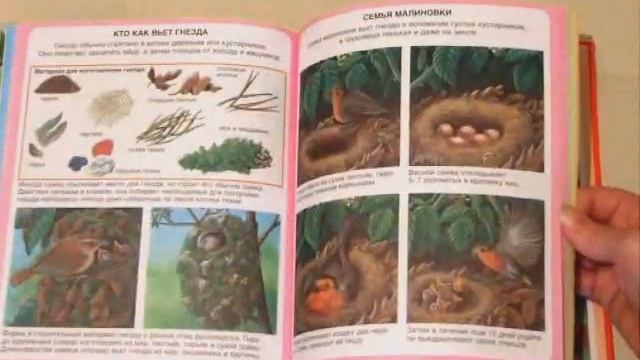 Книга для детей "Жизнь леса" ISBN: 978-5-18-001021-6 смотреть онлайн