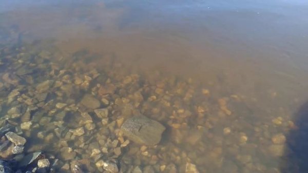 Глубокая река, deep river.