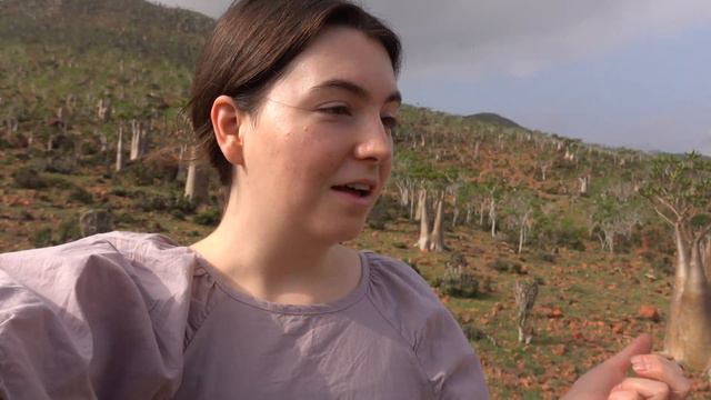 Bottle trees, beach camping and swimming in a wadi - First day of Socotra adventures смотреть онлайн