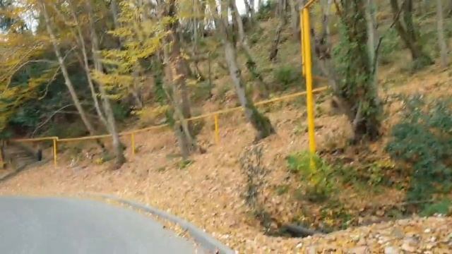 Мацестинская Долина. НАША ПЕРВАЯ райская ЗИМА В СОЧИ смотреть онлайн
