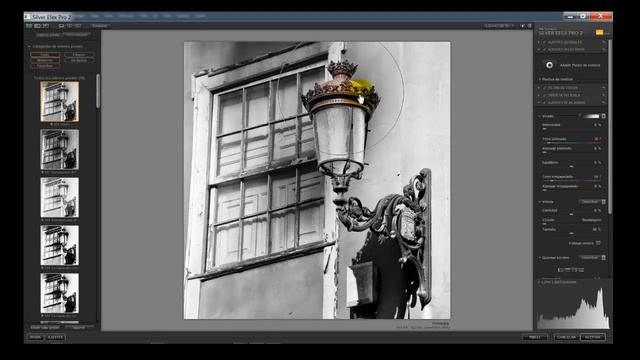 Silver Efex Pro 2 Ajustes selectivos Hacer un cutout смотреть онлайн