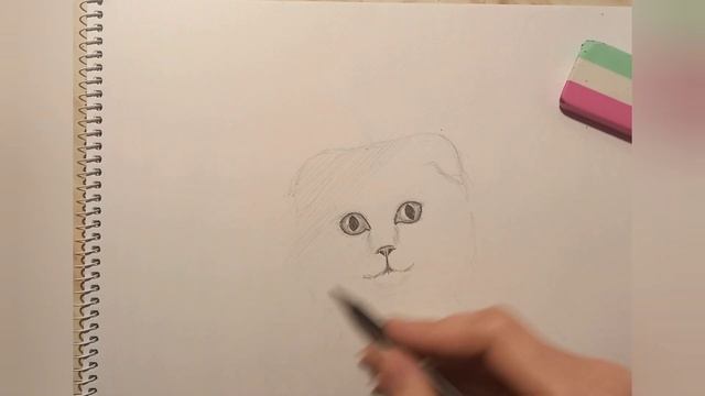 how to draw a realistic cat смотреть онлайн