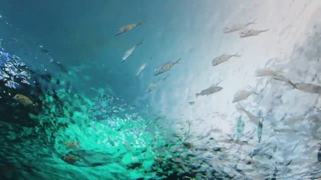 Аквариум/ расслабление для детей смотреть онлайн