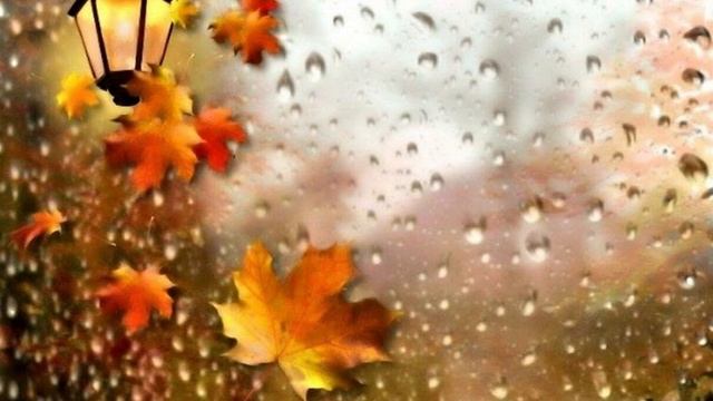 6 Медитация ДЪЖД, проф. д-р Александър Илиев смотреть онлайн