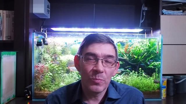 Зачем нужен фильтр обратного осмоса для аквариума смотреть онлайн