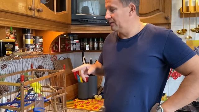 ПОПУГАЙ КЕШКА КУПАЕТСЯ, КРАШУ ВОЛОСЫ, МОЙ ЛЮБИМЫЙ ТОН | Arina Belaja смотреть онлайн