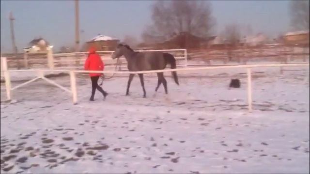 Пушкиния смотреть онлайн
