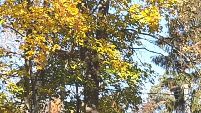 Противоядие 1 смотреть онлайн