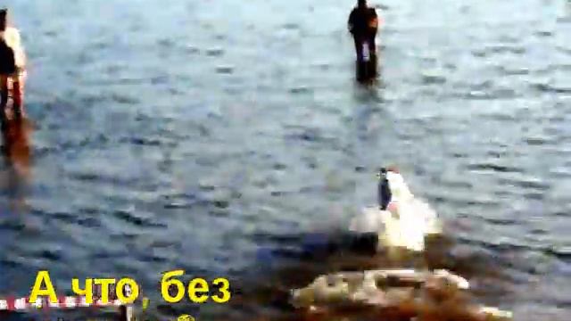 dog-travel смотреть онлайн