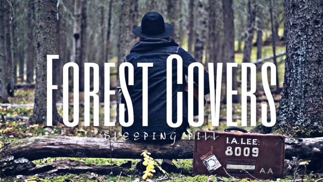 Best Music for sleeping | Studying [Ambience Forest + Guitar Cover Playlist #1] смотреть онлайн