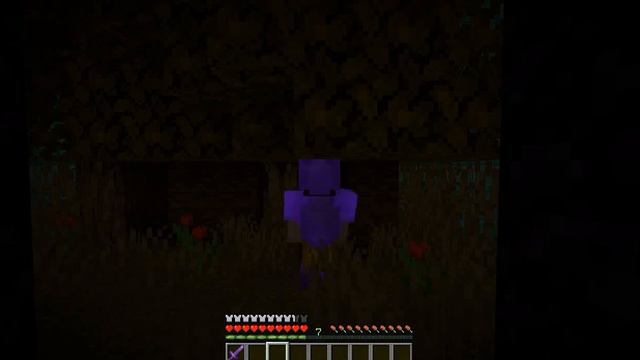 Реалестичный портал без модов. можно сделать только так?