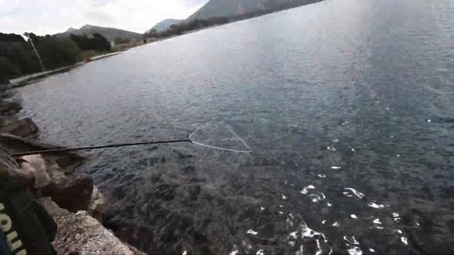 Το Φαγκρί που μας ξεγέλασε!!! fishing point by the sea Nasos. смотреть онлайн