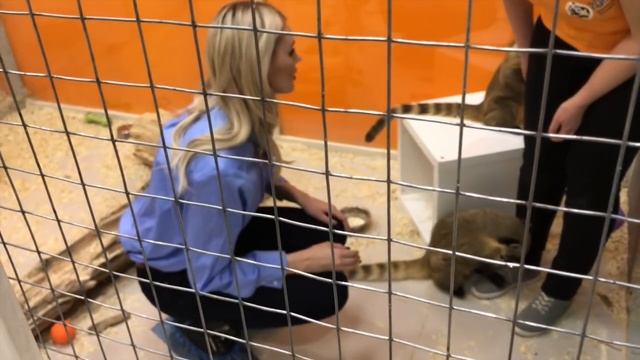 Татьяна Горинович.VLOG. Прогулка по ночной Москве с любимым. Поход по магазинам смотреть онлайн